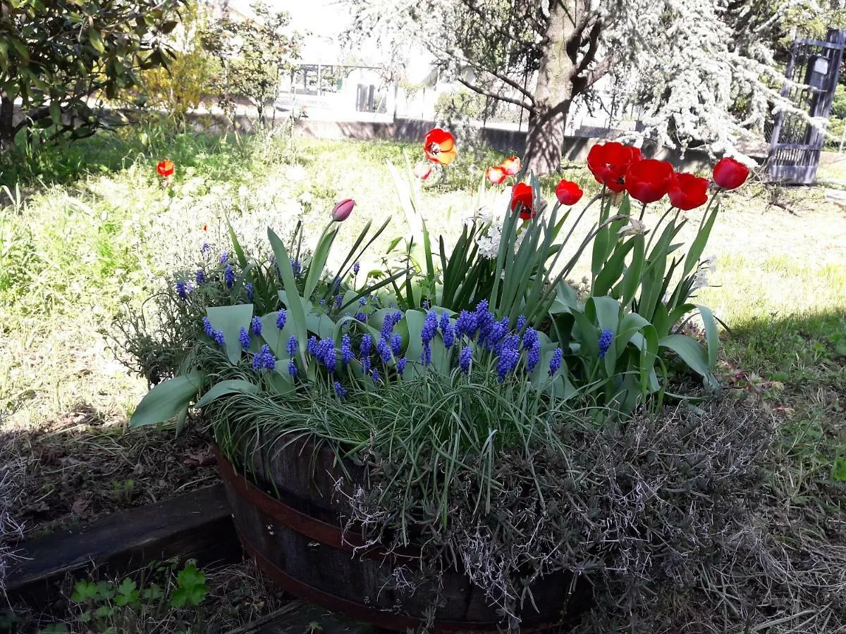 Apartmán La Casa Nel Verde Boloňa 0*,  Itálie
